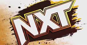 WWE NXT 2022 LOGO LOOP #2