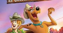 Scooby-Doo! El conflicto de Shaggy online