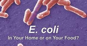 E. coli - In Your Home or on Your Food?