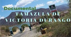 Documental tamazula durango