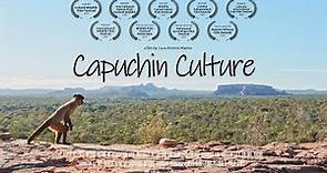 Capuchin Culture