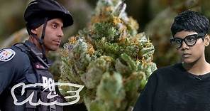 High Robbery: Canada’s Violent Cannabis Dispensary Raids