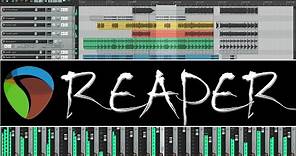 Reaper -- The Most Recommended* DAW