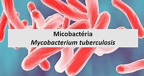 Microbiologia Médica: Mycobacterium tuberculosis