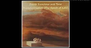 David Sancious & Tone ► Transformation The Speed of Love [HQ Audio] 1976