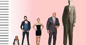 How Tall Is Zayn Malik? - Celebrity Height Comparison!