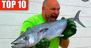 10 BEST FISH TO EAT