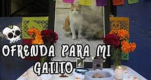 27 de Octubre día de las mascotas muertas || Ofrenda para mi gatito 😺☠️💐