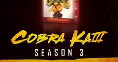 Get Cobra Kai Season 3 on DVD!