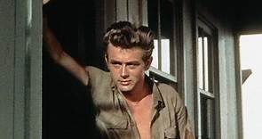 Rock Hudson annoyed James Dean by ‘hitting’ on him, documentary reveals