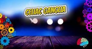 Celiac ganglia - Know It ALL 🔊✅