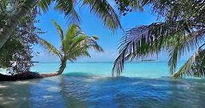 🌴 Ocean Ambience on a Tropical Island (Maldives) with Soothing Waves & Paradise View for Relaxation.
