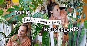 10 Fast Growing EASY Indoor Plants 🌿 Easiest + Fastest Growing Houseplants