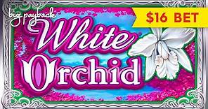 White Orchid Slot - UP TO $16 MAX BETS!