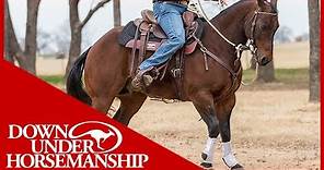 Clinton Anderson: How to Get Your Horse to Go Forward - Downunder Horsemanship