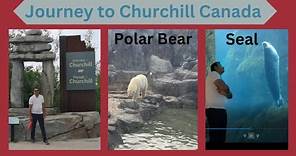 Journey to Churchill Town Canada || Assiniboine Zoo|| Arctic Polar Bears Show|| Winnipeg Manitoba CA