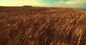 Norman Borlaug & The Green Revolution