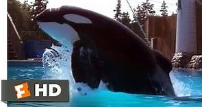 Free Willy (1993) - Um Caso Muito Especial (2/10) | Rede Filmes