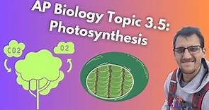 3.5 Photosynthesis - AP Biology