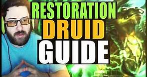 Cdew's Guide to Restoration Druid PVP | Dragonflight 10.2.5