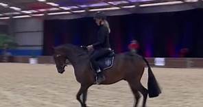 Horse of the Year 2023 warm ups with our team! #horseoftheyearshow #showhorse #equestrian #showing #horses #sbshowhorses #equestrianlife #horseoftheyear
