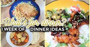 EASY FAMILY DINNER IDEAS | WHAT'S FOR DINNER? #301 | 7 Real Life Family Meal Ideas