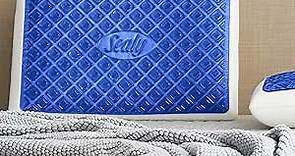 Sealy SealyChill Gel Memory Foam Pillow, Standard (Pack of 1)