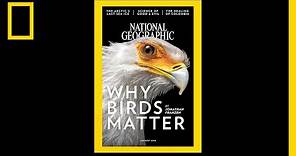 See 130 Years of National Geographic Covers in Under 2 Minutes | National Geographic