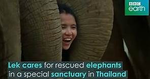 Thailand: Earth's Tropical Paradise - Lek's elephant sanctuary