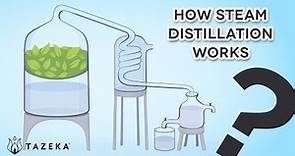 How Steam Distillation Works