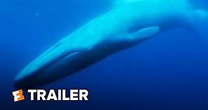 The Loneliest Whale Trailer #1 | Movieclips Indie