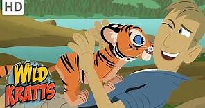 Wild Kratts - The Wildlife Heroes Saving One Animal at a Time