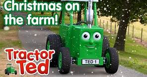 Christmas On The Farm 🎄 | Tractor Ted Clips | Tractor Ted Official Channel