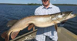 Pike Fishing 101: A Beginner's Guide to Catching Big Northerns on Lures, Bait, and Flies