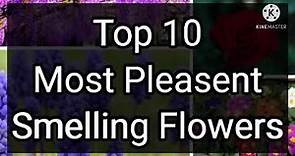 Top 10 most pleasant smelling flowers in the world. |Biologicallife|