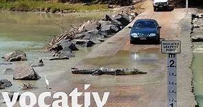 Are You Brave Enough For Australia’s Deadly Crocodile Crossing?