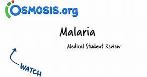 Malaria | Osmosis Study Video