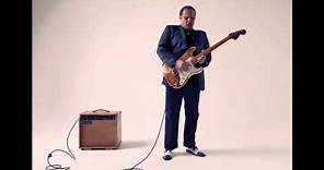 Walter Trout - Transition