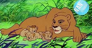 SIMBA EL REY LEÓN serie animada | Simba dibujos animados | Simba King Lion en español | EP. 25