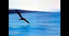 Chick Corea (1972) Return To Forever