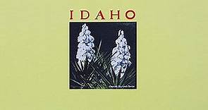 Idaho - The Bayonet EP