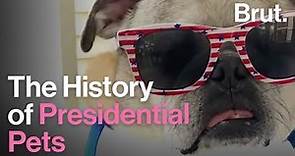 The History of Presidential Pets in the White House