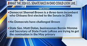 What the 2024 U.S. Senate race in Ohio could look like
