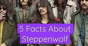 5 Facts About Steppenwolf