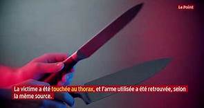 Lyon : un jeune homme meurt après une agression au couteau dans le métro