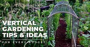 VERTICAL GARDENING TIPS & IDEAS: Why and how to add VERTICAL SPACE to your garden for EVERY BUDGET