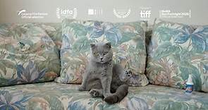 All Cats Are Grey in the Dark (Trailer)