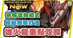 MHN 火龍新手攻略!! 超簡單輕鬆打法~一學就會!!Monster hunter now 攻略! 太刀居合實戰~拆解招式~