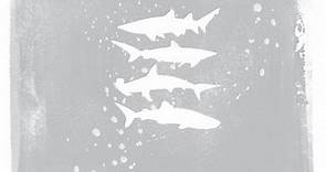 My Brightest Diamond - Shark Remixes Volumes 1, 2, 3 & 4