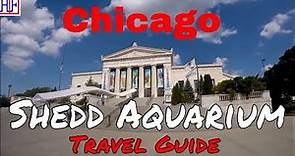 Chicago - Shedd Aquarium (TRAVEL GUIDE) | Episode# 6